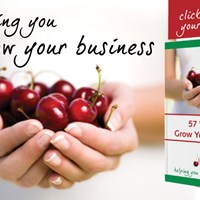 Портфолио Anderson Clark